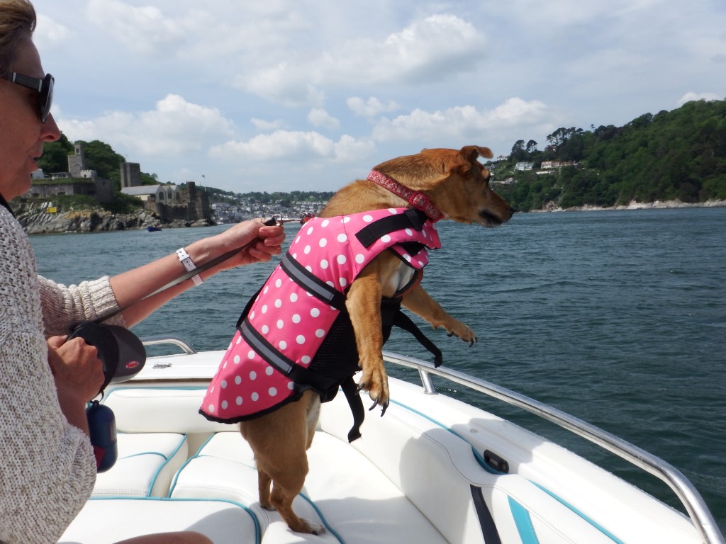 DSCF7603 (Medium).JPG