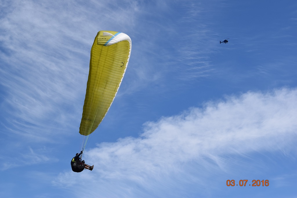 Hanging in there.jpg