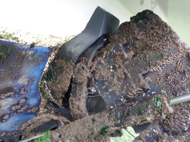 DSCF8532 (Small).JPG