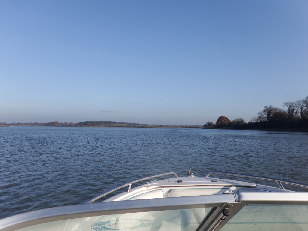 DSCF8540 (Medium).JPG