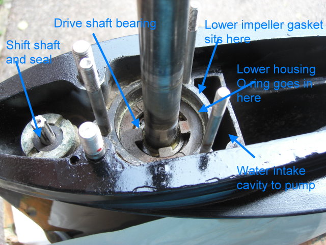 Lower gearcase housing showing possible leaks.jpg